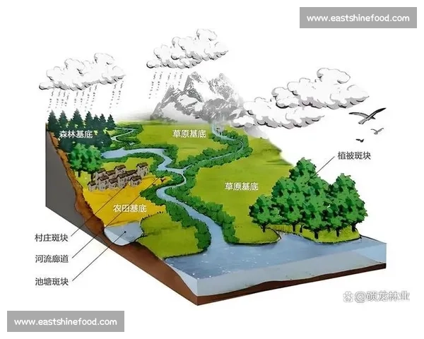 人工草引领城市绿色景观升级与运动休闲新生态发展路径探索实践方向