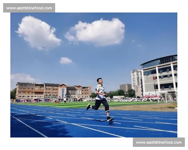 冠军之路:荣耀背后的坚持与突破传奇篇章再写时代巅峰梦想与热血青春 冠军之路:荣耀背后的坚持与突破传奇篇章再写时代巅峰梦想与热血青春